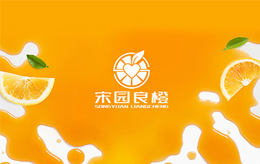 某良橙——武汉LOGO设计