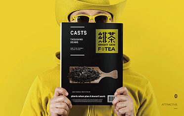 武汉绯茶品牌设计